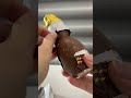 ASMR Unwrapping Ferrero Rocher Snowman ️ Asmr Shorts Ferrero