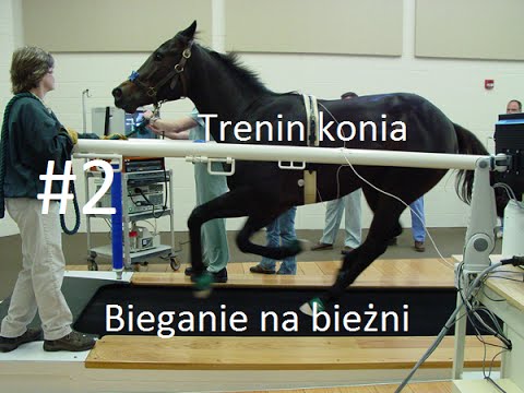 Jak leczyć mięśni nóg Zagłuszania mięśnie piszczelowej