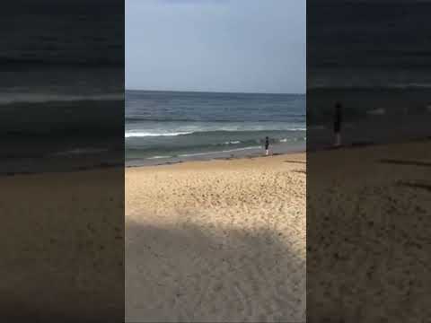 Sydney beach 🏝️ #australia #trendingshorts #beach