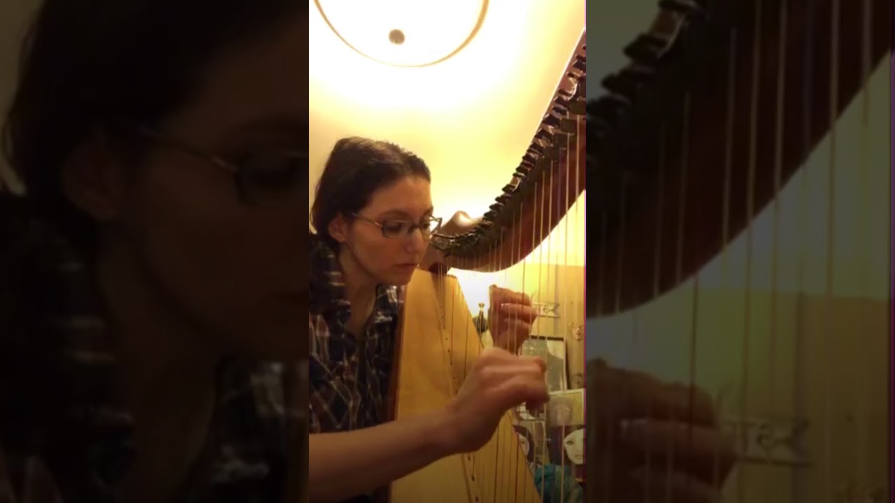 Promotional video thumbnail 3 for Morningside Music, Harpist Sohayla Smith