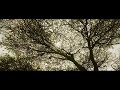 Andipatti Kanava Kathu Dharma Durai Movie 4K Song