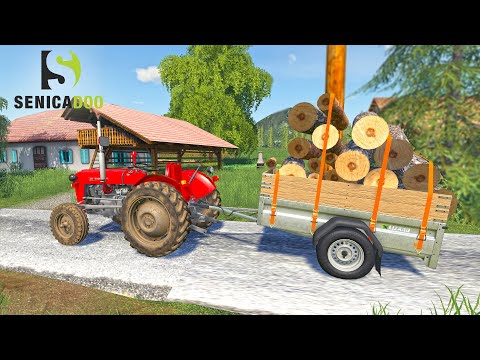 UTH19 - Table SAW making Firewood on small farm