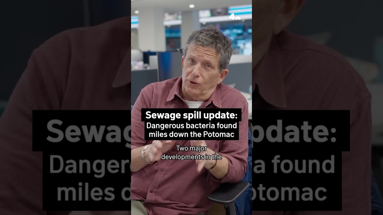 Sewage spill update: Dangerous bacteria found miles down the Potomac