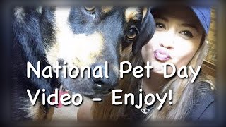 National Pet Day Video - Enjoy!