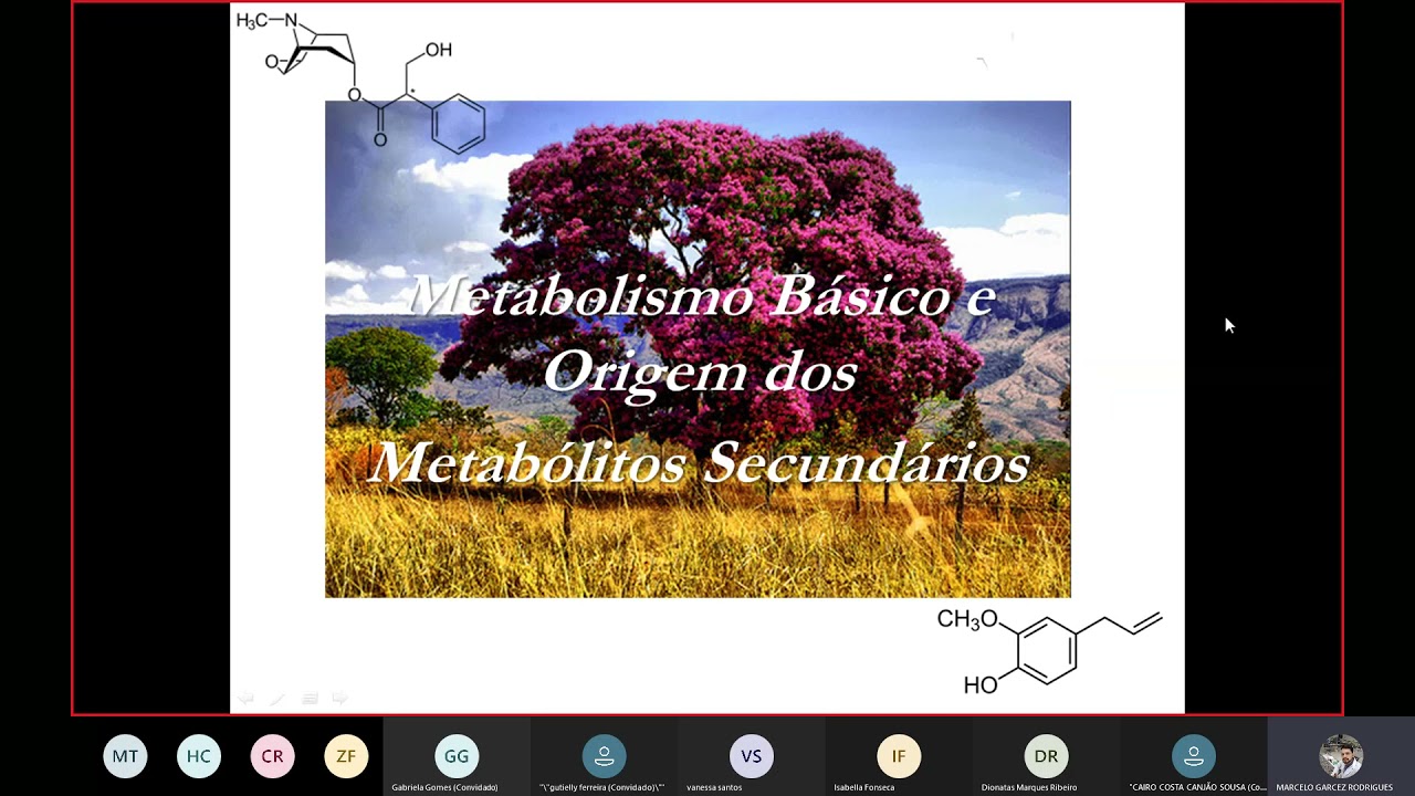 Farmacognosia - Metabólitos secundários e os ativos de Plantas