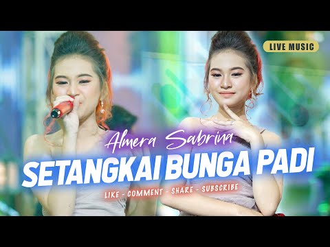 SETANGKAI BUNGA PADI - ALMERA SABRINA ft. NIRWANA COMEBACK | LIVE MUSIC