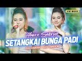 SETANGKAI BUNGA PADI ALMERA SABRINA Ft NIRWANA COMEBACK LIVE MUSIC