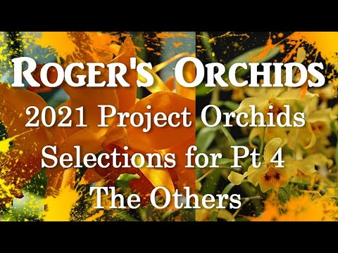 2021 Project Orchids - Selections for Pt 4, The Others