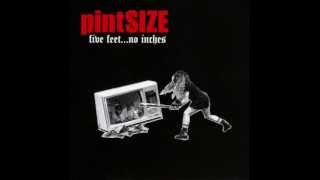 Paul Gilbert - pintSIZE - The Village Was Pillaged
