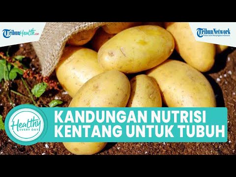 , title : 'Kandungan Nutrisi dalam Kentang Bagus untuk Kesehatan Tubuh, Ini Manfaat yang Perlu Diketahui'