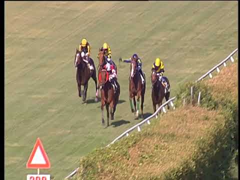 Galoppo 08/06/2018 - 2ª corsa