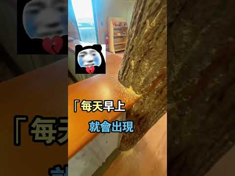 以為是惡作劇，監控拍下的畫面讓人頭皮發麻😱（TT：@iwantbojangles）