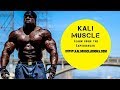 KALI MUSCLE (🛑 LIVE) QUESTIONS & ANSWERS