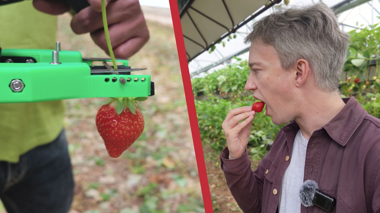 Why robots still can't pick strawberries