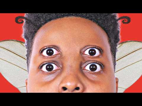 HE TURNED INTO A FLY!?