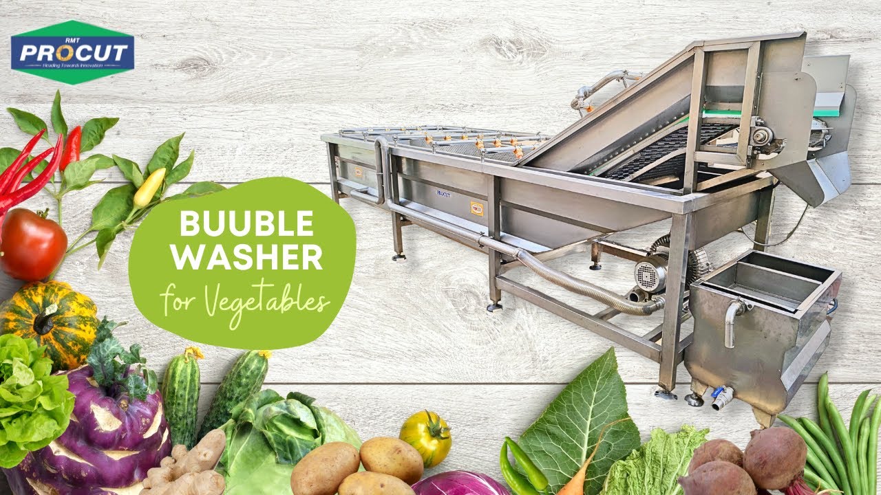 Automatic Vegetable & Fruit Bubble Washer Machine/ Continuous Vegetable Washer & Fruit Washer