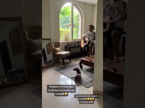 kaka slank konser di rumah #slank #slankers