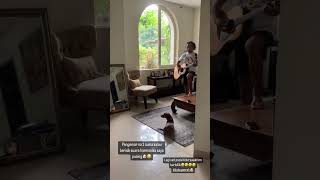 Download lagu kaka slank konser di rumah #slank #slankers mp3