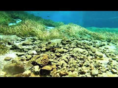 The river Fwa on DR Congo