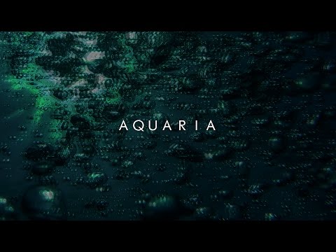 Zetyd - Aquaria