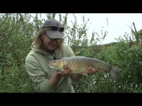 Fiskeri efter døbel med pellets og flåd
