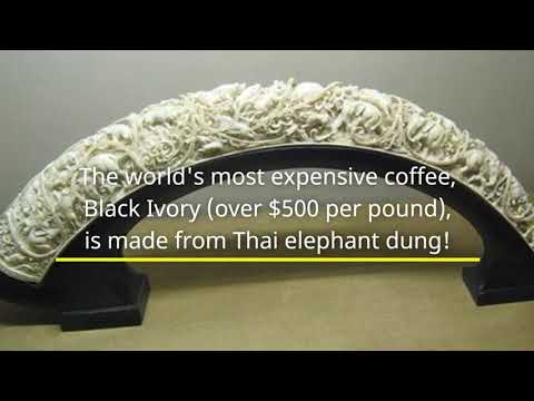 Java Jolt: 10 More Quick Coffee Facts You Can't Miss