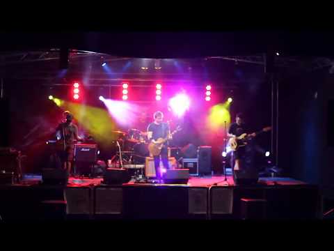 Wild Roses - Ema