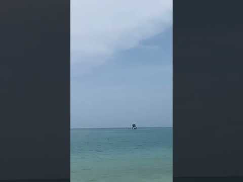 #maldives #beach #maledives #travel #nature