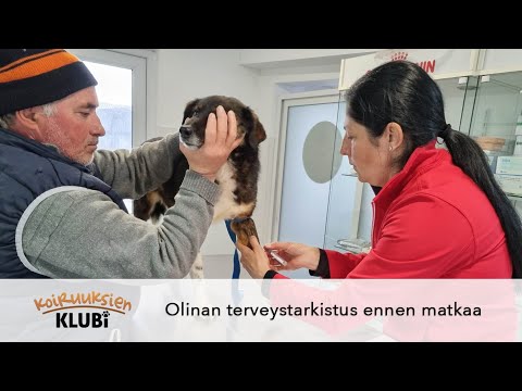 Olinan lääkärireissu Romaniassa