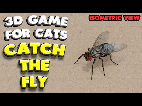 3D-Spiel für Katzen | FANG DIE FLIEGE (isometrische ansicht) | 4K, 60 fps, Stereoton