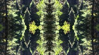 Atomix - Rabid Psycpout