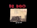 Dr. Dog - "Big Girl" (Full Album Stream)