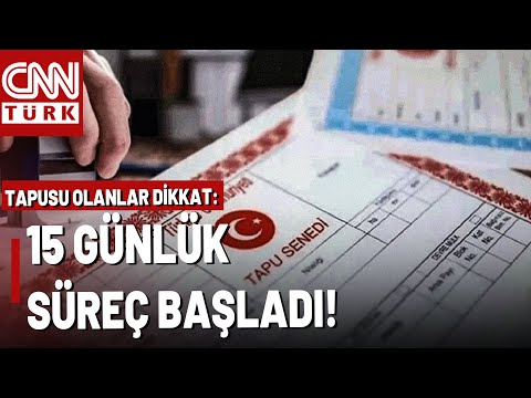 Attention Property Owners: The Process Has Begun! Which Transactions Should You Check on e-Govern...