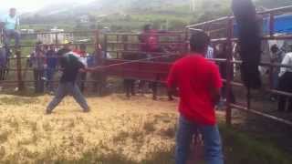 preview picture of video 'Santa Rosa Caxtlahuaca Oaxaca 2014Tarde de Jaripeo, EL redondo montando'