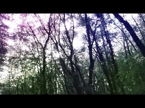 DANCITY FESTIVAL BACK TO THE FUTURE (2011) - TEASER