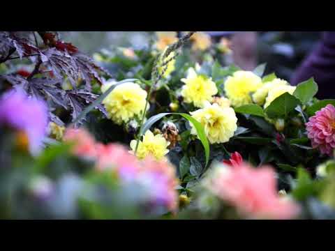 Ayomiddin Juraev Fakhat sinda