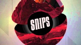 Dirty Water - The Snips