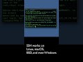 Ssh Connect To Server Shorts