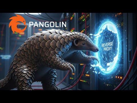 Pangolin: The Modern Reverse Proxy | Guide for Docker, CrowdSec & Local Services