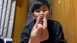 ようかんと一緒？クロマツの近況報告と紹介