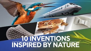 🌿🔧 Top 10 Revolutionary Inventions Inspired by Nature
