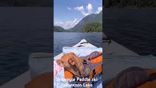 カナダ🇨🇦生活　アウトドア！Sea Eagleのパドルスキーで夏を楽しむ