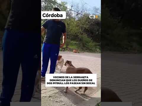 DISPUTA POR PERROS POTENCIALMENTE PELIGROSOS 🚨