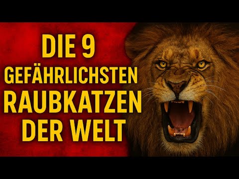 Die 9 gefährlichsten Raubkatzen der Welt