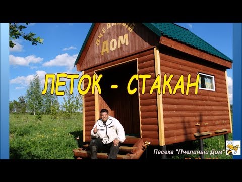 КАКОЙ ЛЕТОК ДЛЯ УЛЬЯ ЛУЧШЕ ВЫБРАТЬ? ЛЕТОК - СТАКАН  (Which to choose a notches for the hive.)