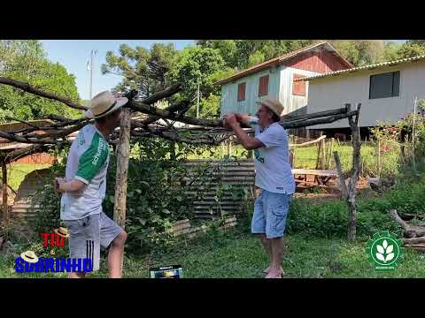 O Porquê dos Velhos Levantarem Cedo #piada