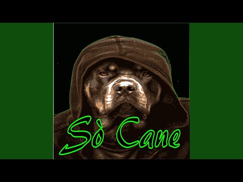 Sò Cane