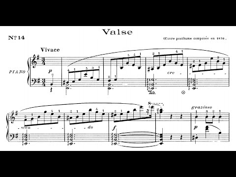 Frédéric Chopin - Waltz No.14, B.56