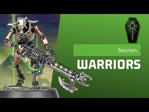 8 Important Questions To Ask Yourself When Using Necron Warriors!