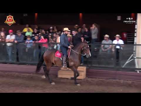 Elite Capim Santo Res. Campeã de Categoria Nacional 2022